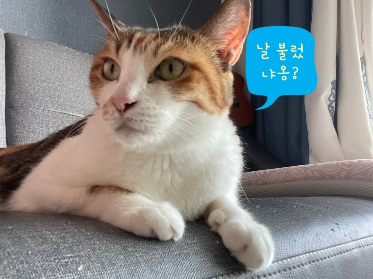  금속덕트 내부 전선을 쥐가 갉아 누전이 된 현장 사례