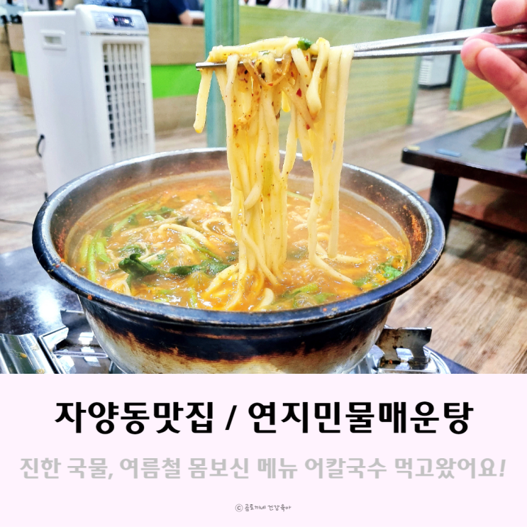 [자양동 맛집] 몸보신 되는 연지민물매운탕 칼국수 다녀왔어요