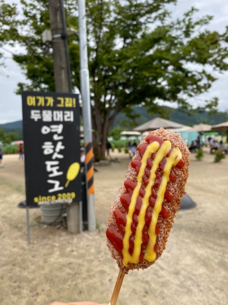 남양주 맛집 '개성집', 팔당 오이소박이냉국수/찐만두 맛집, 양평 두물머리 드라이브, 전참시 연핫도그 맛집, 남양주 주말나들이 코스