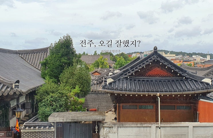 1박2일 - 전주여행 3선(전주 한옥마을 / 자만벽화마을 / 부귀 메타세콰이어길)