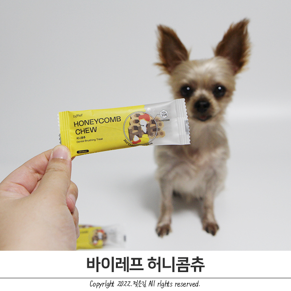 바이레프 허니콤츄 방이가 잘 먹는 강아지껌 바이레프 허니콤츄 방이가 잘 먹는 강아지껌