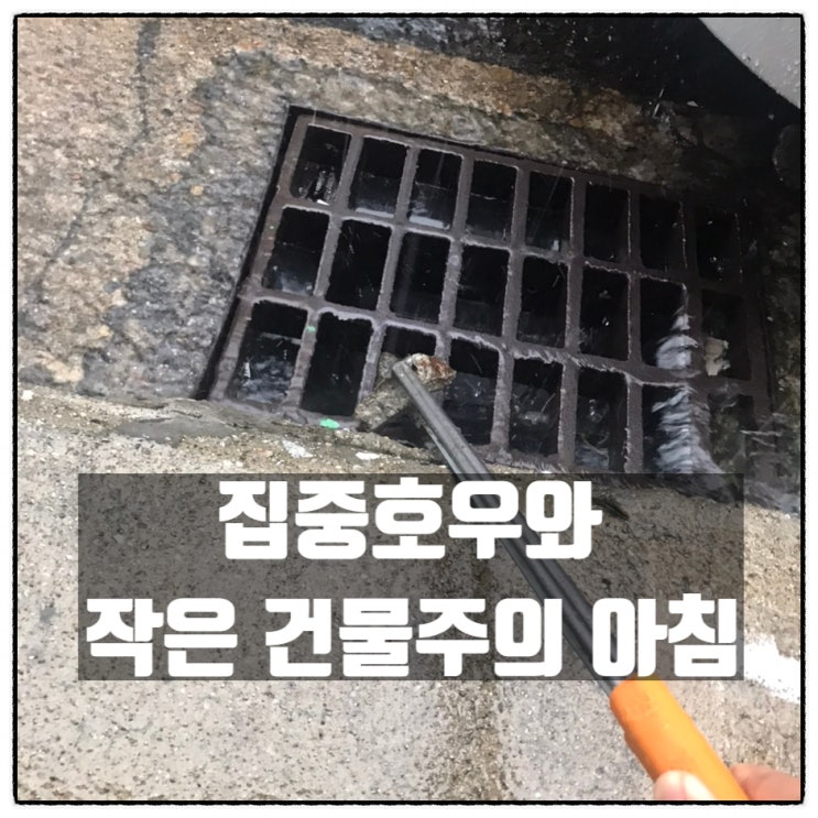 대전 집중호우 폭우 그리고 작은 건물주의 아침 대전 집중호우 폭우 그리고 작은 건물주의 아침