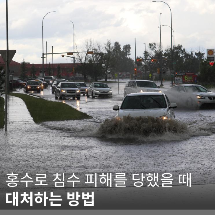  [건축 정보] 건물(집)이 홍수로 침수 피해를 당했을 때 대처 방법
