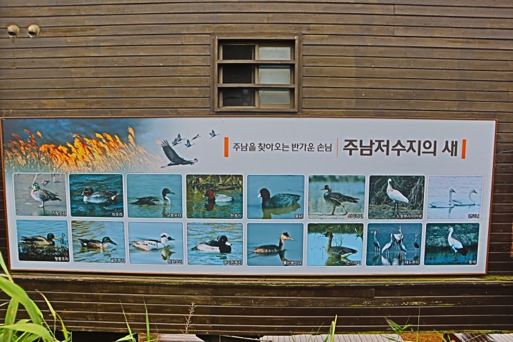  주남 저수지