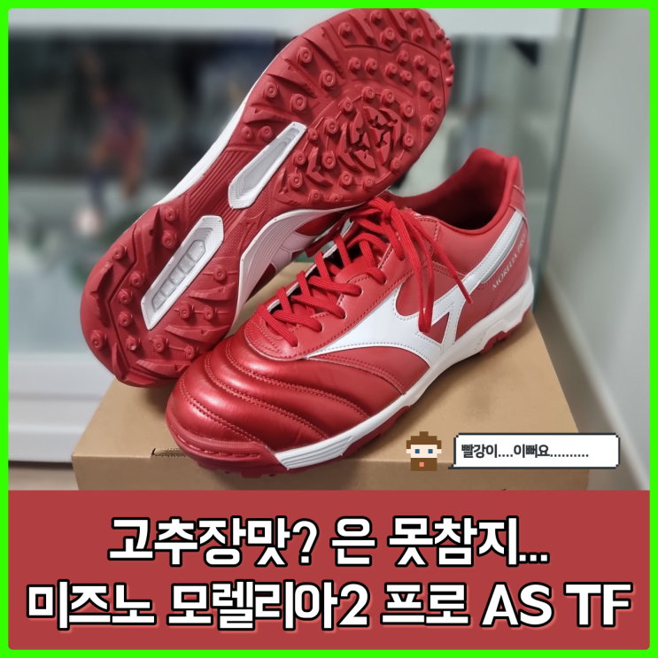 강렬한 빨강색, 미즈노 패션레드 팩 - 모렐리아2 프로 신상 풋살화 강렬한 빨강색, 미즈노 패션레드 팩 - 모렐리아2 프로 신상 풋살화