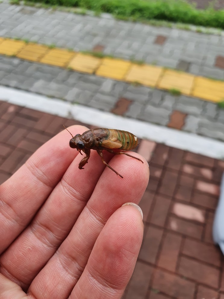  착한일..ㅎㅎ