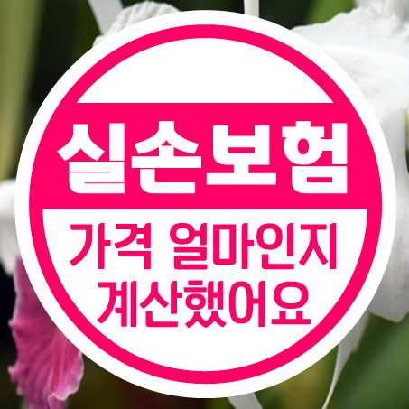  50대 실손보험료 얼마인지 가격을 계산해 봤어요.