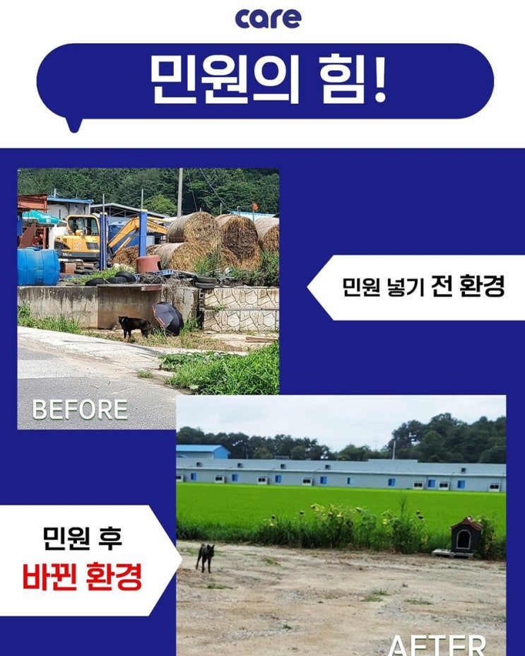  “민원의 힘” 동물권단체케어/ care