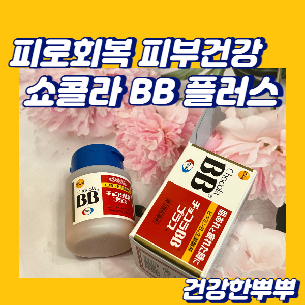  푸석한피부 쇼콜라BB 피로회복 주근깨없애기 피부영양제추천