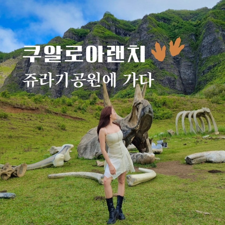  쿠알로아랜치 예약 atv, 무비투어 후기 하와이 여행코스의 꽃!