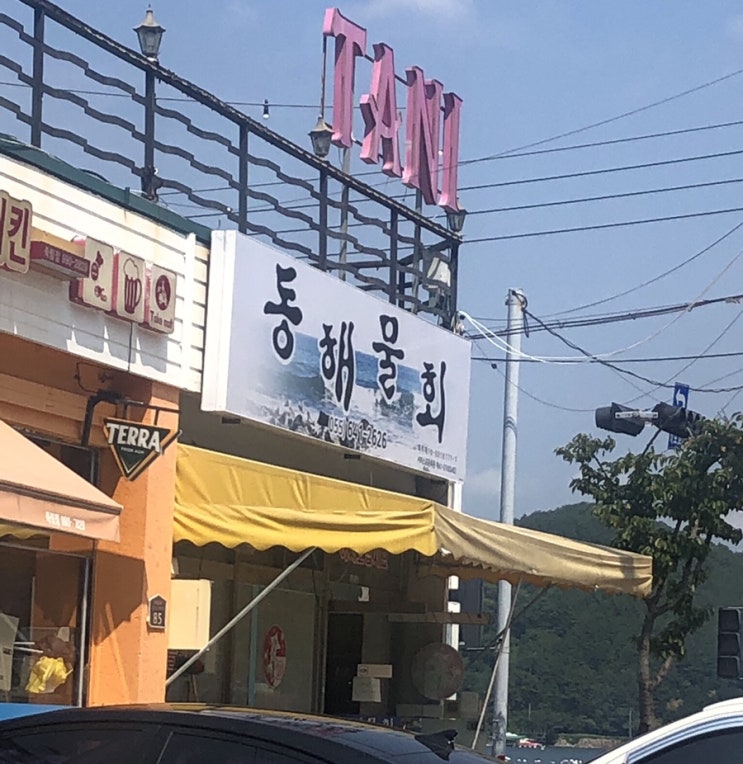 [통영 광도면] 동해물회_ 생선물회먹으러 고고딩~후 맛집후기