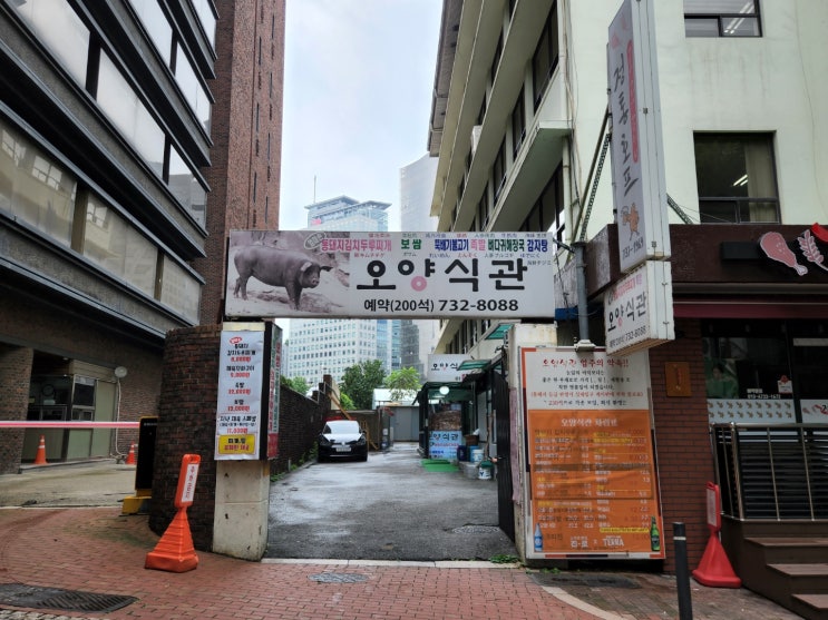 [서울시청 근처 맛집] 김치찌개 맛집 오양식관