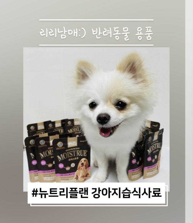  뉴트리플랜 강아지습식사료 하리가 추천해요!