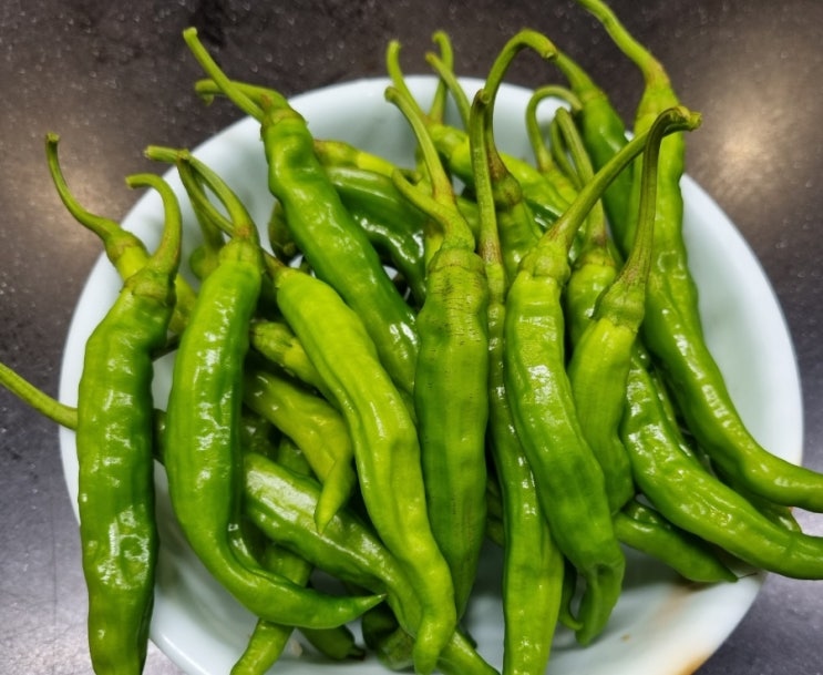  제철음식 꽈리고추요리 꽈리고추장아찌 초간단레시피