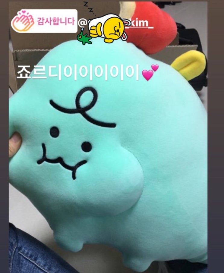  카카오 프렌즈 대왕 조르디 인형 추천!