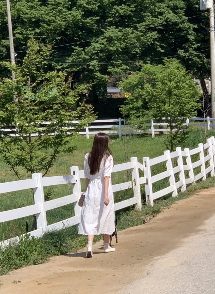  [럭키랑 고양] 서울 근교 나들이 - 원당 종마목장(렛츠런팜원당)