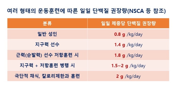  단백질보충제 먹어야하나? 근비대와 지구력운동을 위한 단백질 섭취 권장량