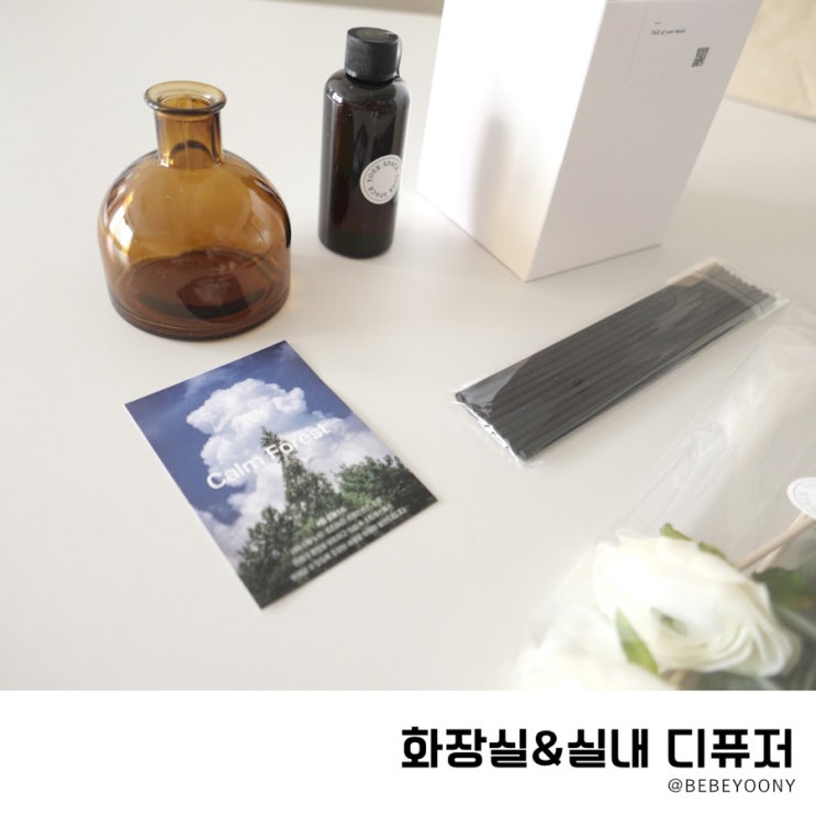 화장실 디퓨저 실내 강아지 냄새 제거도 탁월