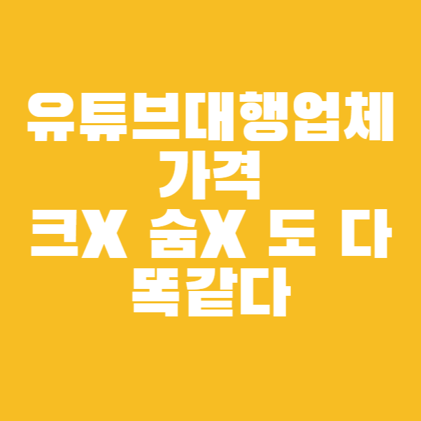  유튜브대행업체 동영상편집가격도 확인한 후 결정하자