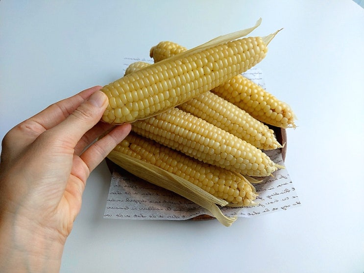  강원도미백찰옥수수 삶는 법: 전기밥솥에 옥수수 삶는 법과 보관법(옥수수수염 활용법)