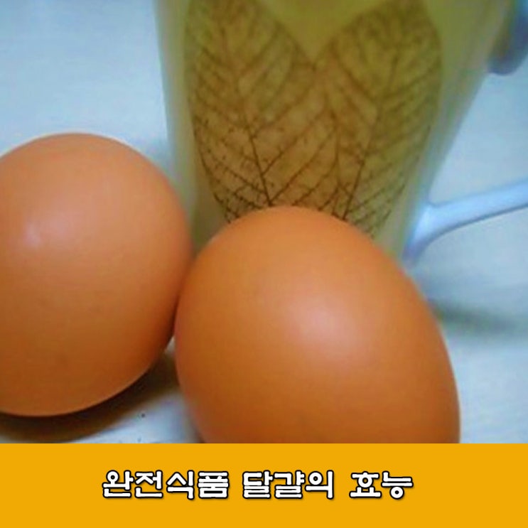  달걀 효능. 완전식품 계란