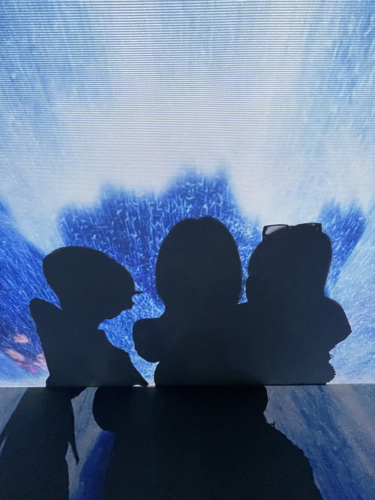  아난티코브 '캐비네 드 쁘아쏭' 전시회 + 카페