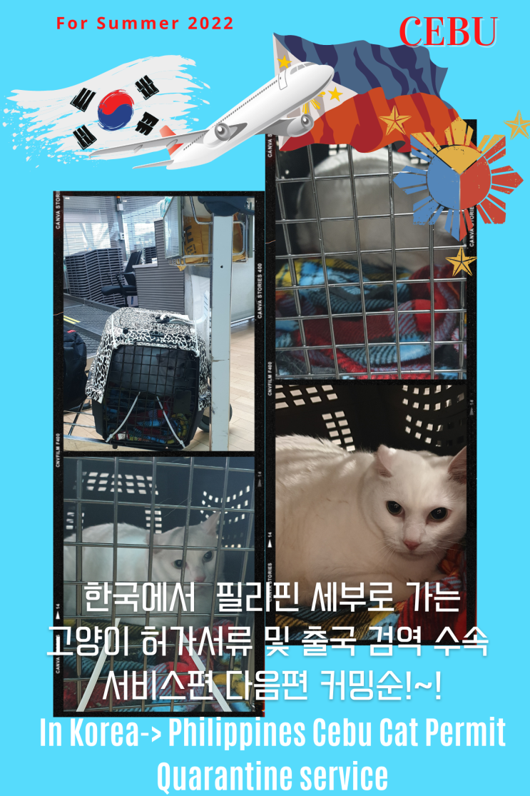  필리핀 세부 마닐라 클락 외 강아지 고양이 반려동물 대형견 출국 수입허가 검역  서비스