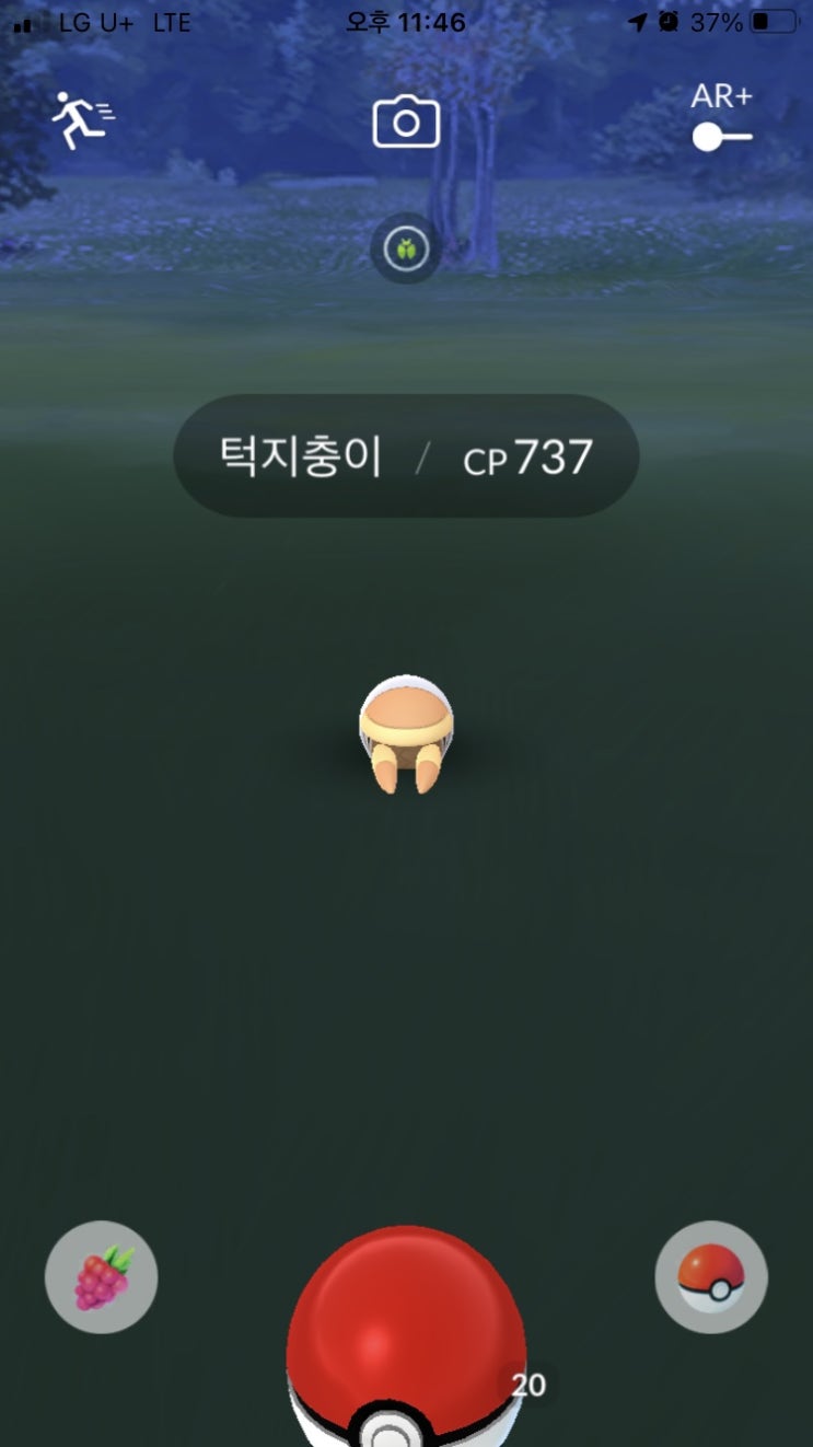 턱지충이