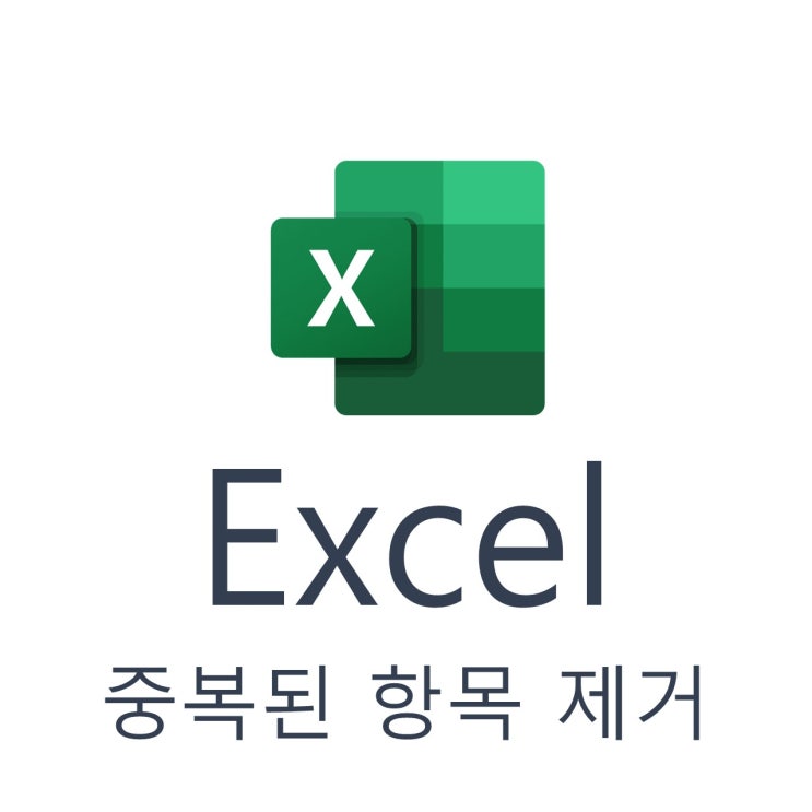 [Excel / Cell] 중복된 항목 제거