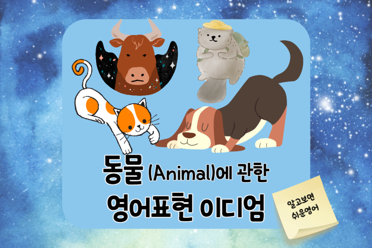  동물에 대한 영어표현 이디엄 eager beaver/ a bull in a China shop/ rain cats and dogs