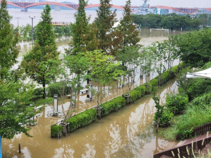 망원한강공원 폭우로 홍수 침수