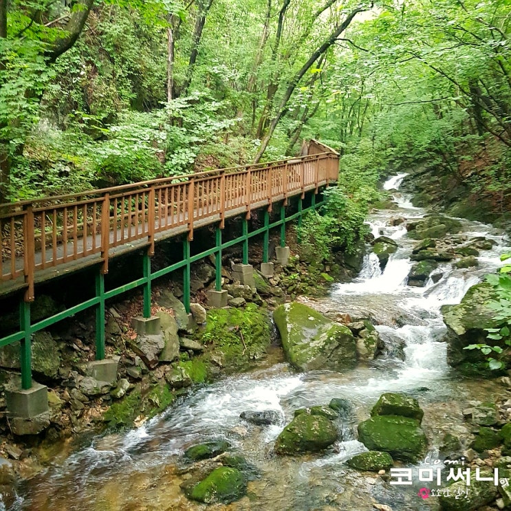 철원 국립 복주산자연휴양림 숲과 계곡이 조화로운 곳 (용탕골 계곡과 산책로, 제2산림문화휴양관)