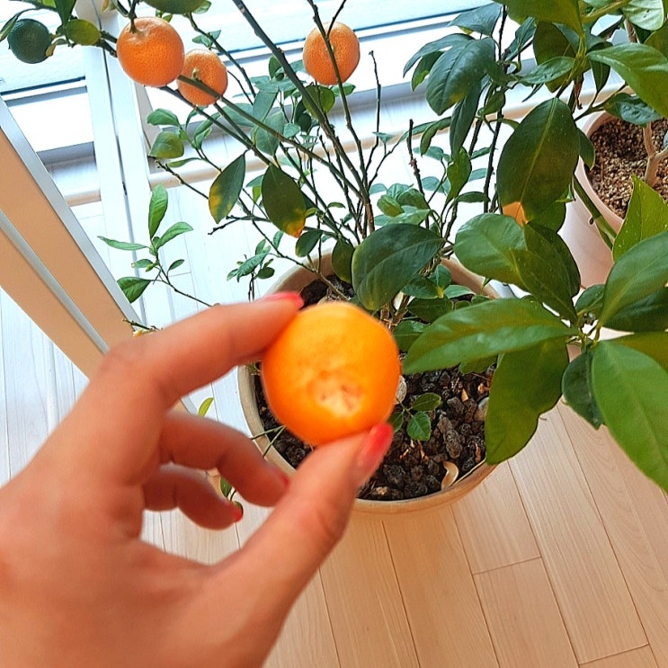  이번주 일상을 돌아보니....물처럼 내가 뭘 먹었던가 반성해보자...