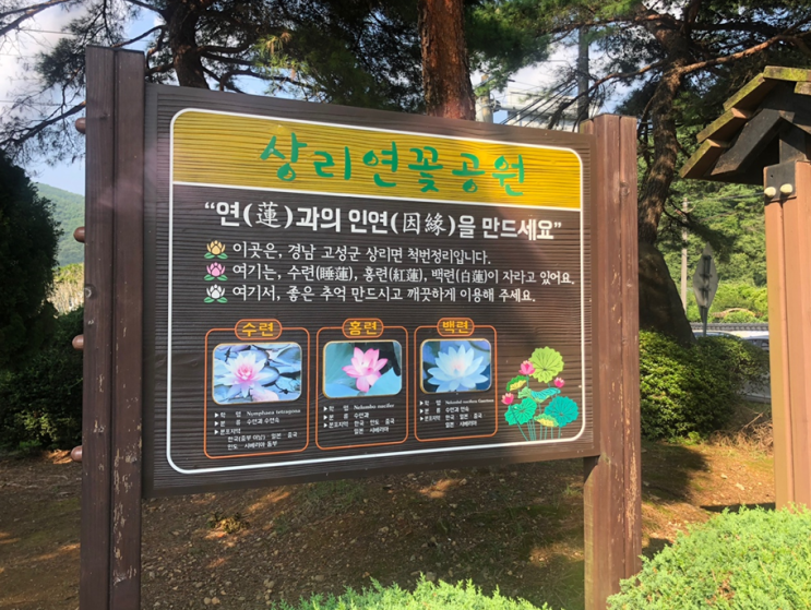 [일상공유_휴가] 2022 여름휴가편_ 통영과 고성에서의 행복한 일정 시작-#1탄