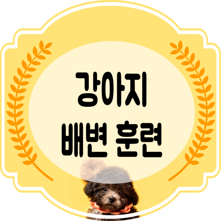  강아지 배변훈련 어떻게 가르치지??