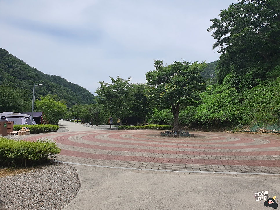 병지방오토캠핑장 B구역 사진 5