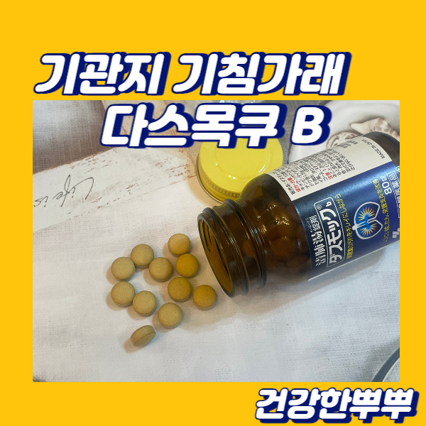 기침가래약추천 가래제거약 다스목쿠B 일본감기약추천