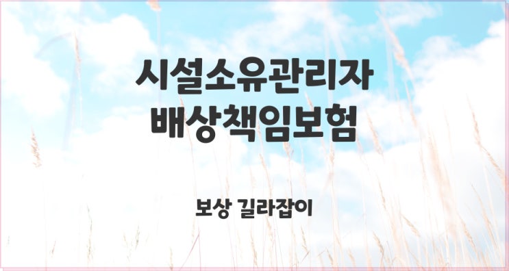  실내 클라이밍 사고 발생 시 시설소유관리자배상책임보험으로 처리하세요!!