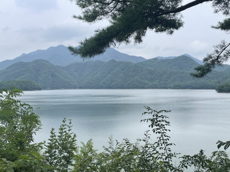  강원도 횡성 가볼 만한 곳 망향의 동산, 호수길