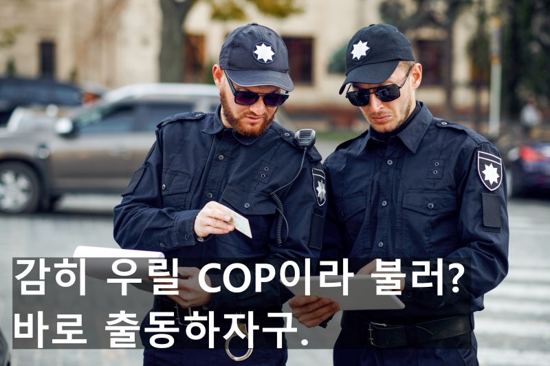 경찰을 영어로 COP이라고 부르면 큰 낭패본다. : 네이버 블로그