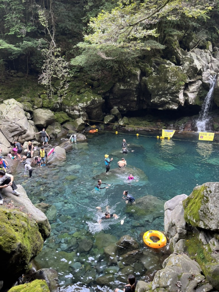  제주도10일차 / 오는정김밥 , 히비 안도 코하쿠 , 원앙폭포 , 휴애리자연생활공원