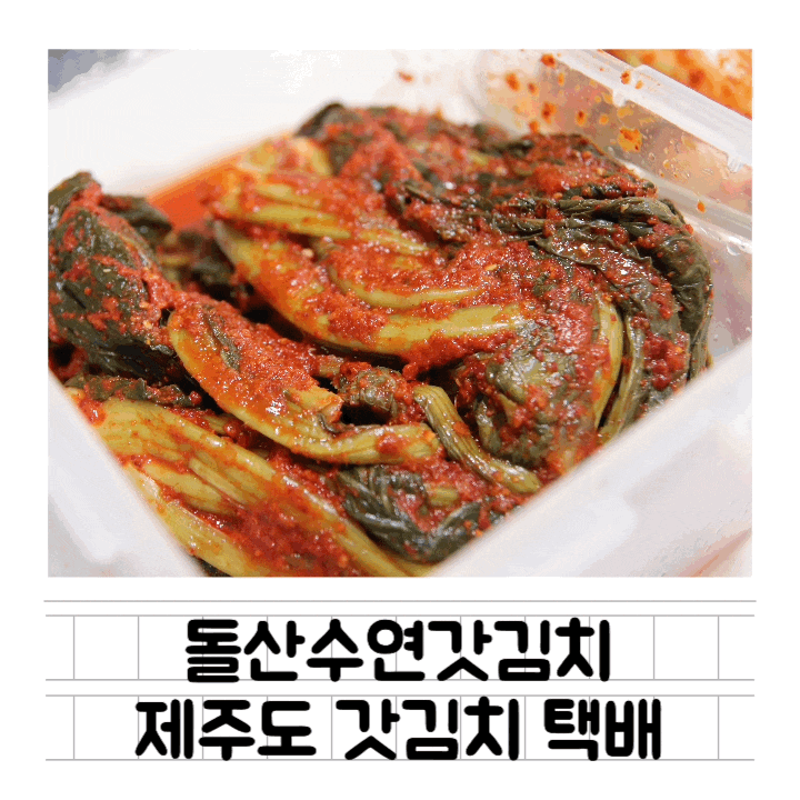  [생활] 제주도 갓김치 택배 배송 : 돌산수연갓김치 / 여수갓김치 각종 김치 배달