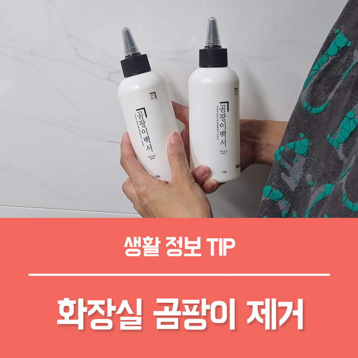  화장실 곰팡이 제거, 창문 싱크대 욕실 실리콘 곰팡이 제거 방법