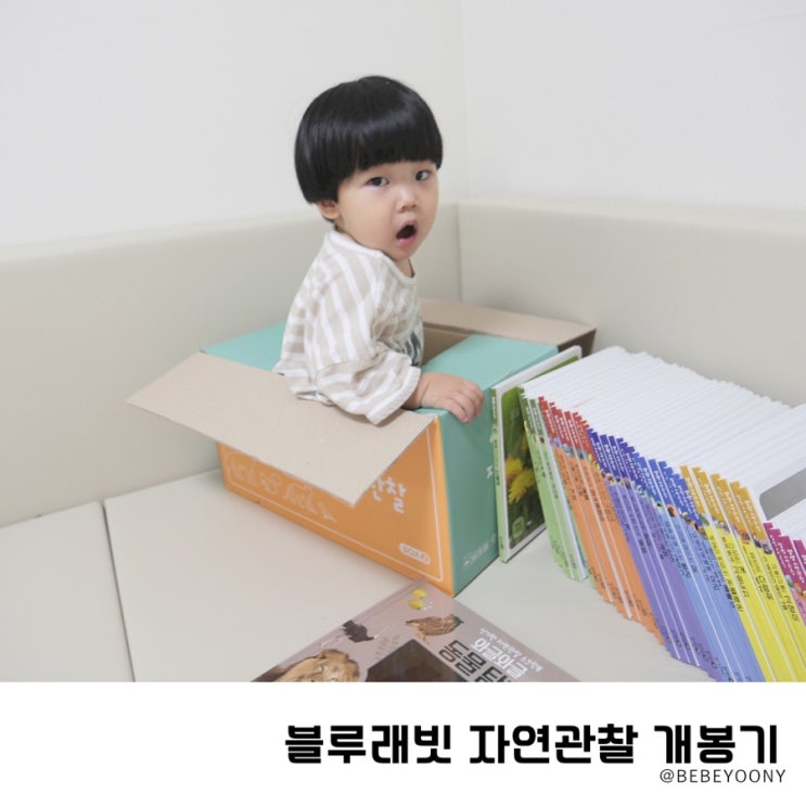  블루래빗 NEW생생자연관찰책 유아전집 드디어 들였다!