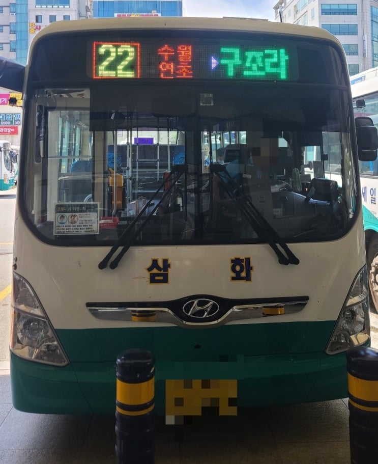  와현해수욕장구조라해수욕장,망치해수욕장 버스노선,번호,가는법