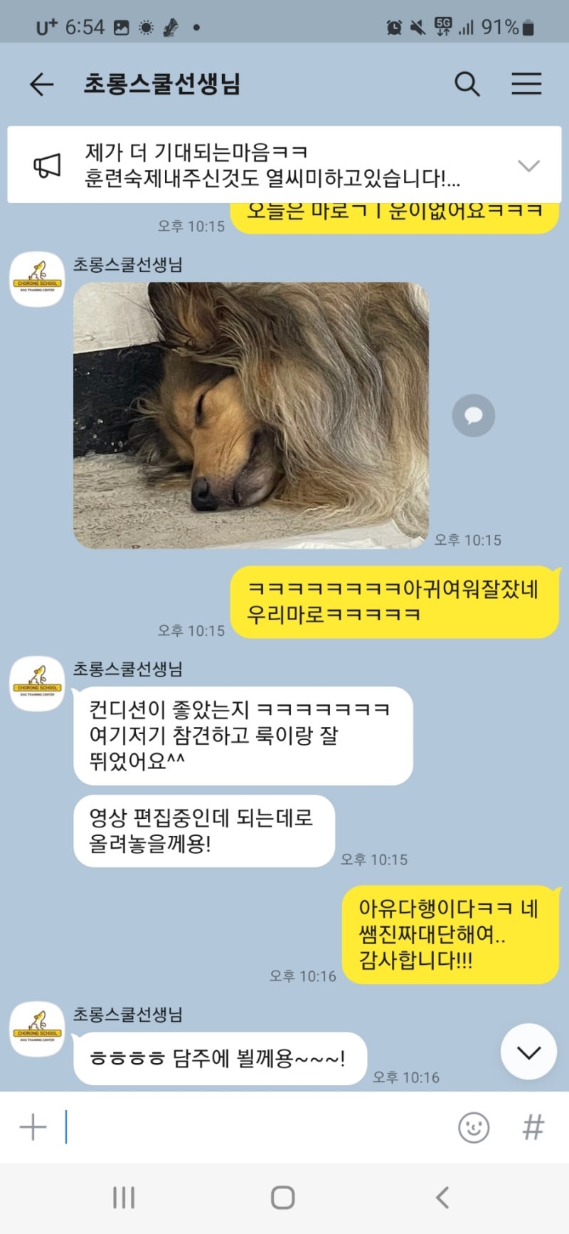 사진 7