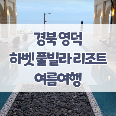  경북 영덕 8월 여름 여행 - 하벳 풀빌라 리조트, 영덕대게거리