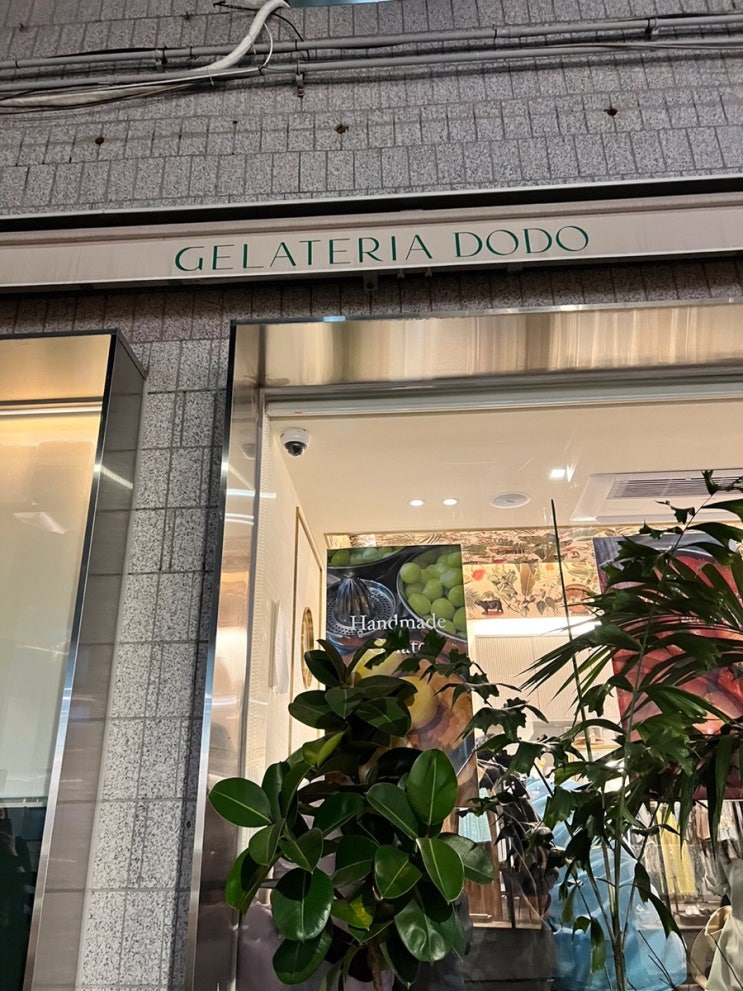  젤라떼리아 도도 청담