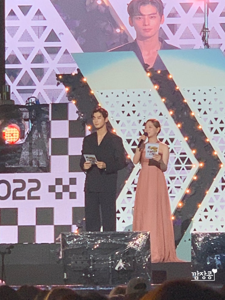  2022 서울페스타 개막식 공연후기(차은우..차.은.우.NCT드림)