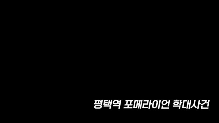  <영상주의> 3키로도 안 되는 포메를 죽도록 폭행한 40대 남성. 그리고 잠시 격리 후 몰래 돌려 준 수원시청!!! 동물권단체케어/ care